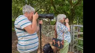 PH-ART-ED, Photo • Art • Education - 2:1 Photography Workshops