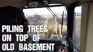 Piling willow trees on old house basement foundation