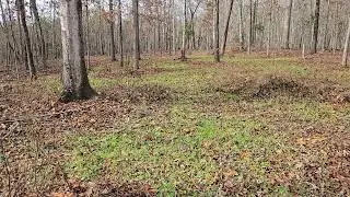 Growing Larger Deer & Hurdles That Can Slow You Down Part 1