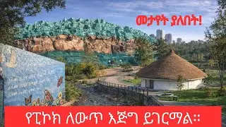 Top Must-See Places in Addis Ababa: Peacock Riverside Park