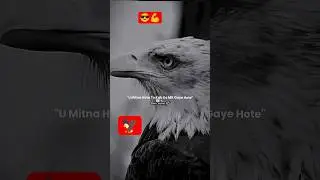 #motivation #attitude search in hindi word from childhood script do