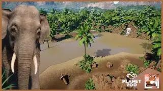 Building a HUGE Jungle Enclosure By the River for BORNEAN ELEPHANT!! 🌿🐘 | Ep. 3 | Speed Build |