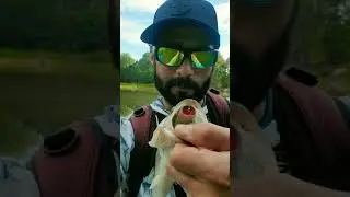 Testing Out The NEW Googan Mini Poppin Fithly Frog!!!