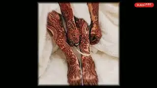 feet mehandi design picture vedio