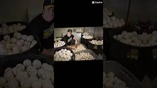 Erik jabs edit pt 1