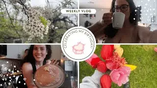 BIRTHDAY VLOG: turning 26, making my cake, & organizing