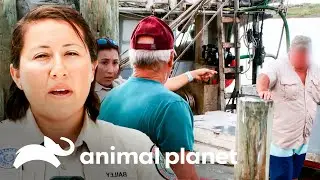 Persecuci&oacute;n por pesca ilegal de camarones | Guardianes de Texas | Animal Planet