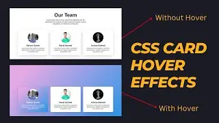 CSS Card Hover Effects HTML CSS | Responsive Our Team Section HTML CSS  | CSS Box Hover Effects