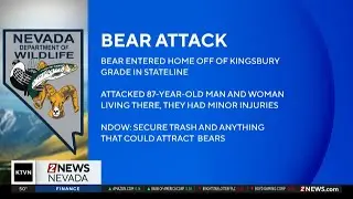Bear attacks elderly man and woman at home