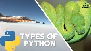 What actually is Python? Python Vs Python 3 Vs Python 5 | LCA Tejas Firing Python-5 | Missile| Snake