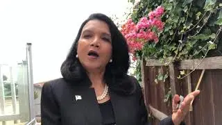 KT Thangavelu as Kamala Harris