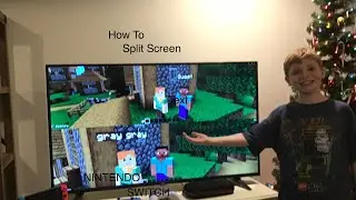 How to do split screen for Nintendo Switch