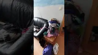 Noch nicht ganz perfekt 🤣🤣🤣🤣so wie ich,herrlich unperfekt