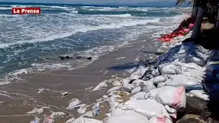 El mar 