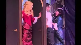 Cassandra Brooks- I&rsquo;ve Decided to Marry You (Gentleman&rsquo;s Guide)