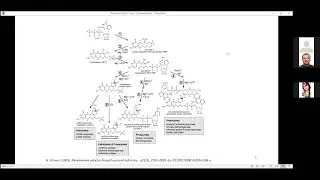 Реут Софія. Фосденоптерин (Fosdenopterin)