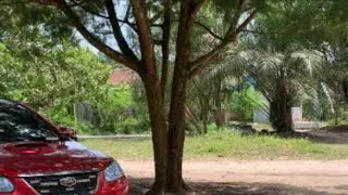 SUASANA DI TAMAN PANGKALAN BUN PARK PAGI HARI..!!