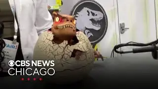 New hot toys on display at International Toy Fair