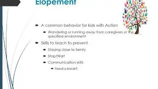 Safety Skills and Community Outings