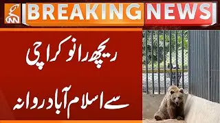 Transfer of Bear Rano - Important Development | Breaking News | GNN