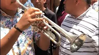 Mosaico Diomedista (En vivo) ✖️  Super Banda 13 de Diciembre de El Guamo 