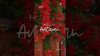 Autumn season #fallmood #beautiful