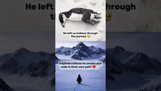 🥹 penguin emotional #penguin #trending #nevergiveup #ego #trend #trendingshorts #tamil #sad #viral