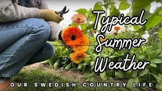 Typical Summer Weather | Our Swedish Country Life