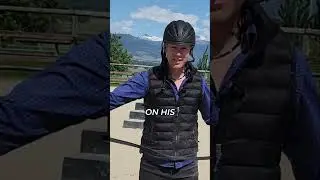 Horse Training: Building Trust Before Riding