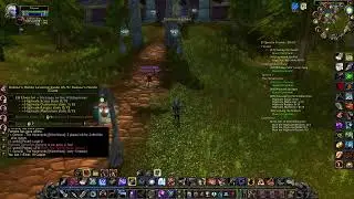 WoW Classic Leveling Hunter