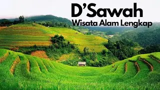 Makan, Ngopi, Dan Staycation Di Tengah Sawah Bogor: Experience D'sawah!