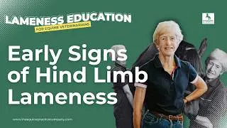 Early Signs of Hind Limb Lameness: How to Spot What&rsquo;s Often Missed