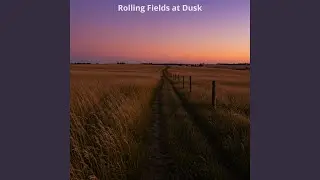 Rolling Fields at Dusk
