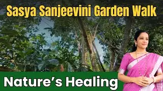 A Peaceful Morning at Sasya Sanjeevini | Ultimate Garden Walk | Sasya Sanjeevini Ayurveda