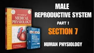 (CHAPTER -71) MALE REPRODUCTIVE SYSTEM || SEMBULINGAM BOOK IN EASY AND SIMPLE HINDI EXPLANATION