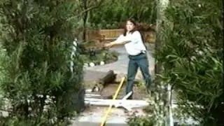 Origin of Brigitte's Garden at Disney's Hollywood Studios Animation Building