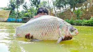 Cast Net Fishing | Net Fishing | Best Net Fishing Video