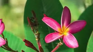 Relaxing Ethnic Music with Turkish Inspiration - Soothe Anxiety