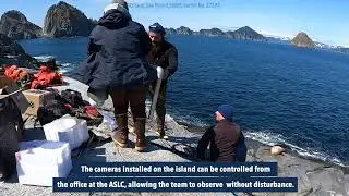 Alaska Steller Sea Lion Research 2023: Installing Remote Video Cameras to Monitor Endangered Species
