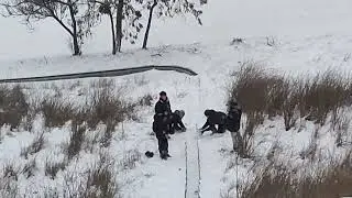 Бердянск снег метель видео прогулки до Смотровой площадки 16 января 2026 года