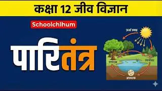Ecosystem Class 12 Biology in Hindi | पारितंत्र हिंदी व्याख्या | Schoolchlehum