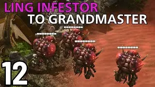 THIS MASS ZERGLING STRATEGY IS AMAZING... (Ling Infestor to GM #12)