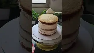 I am sharing the video of fresh mango cake on everyone's demand.