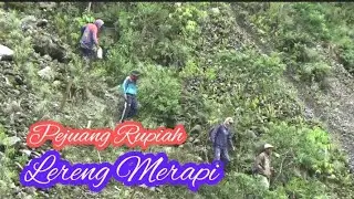 Pejuang Rupiah Lereng Merapi
