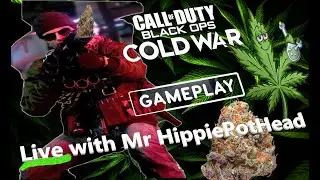 The New Call of Duty Black Ops Cold War keeps freezing up my PS4!!!!