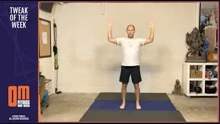 Tweak of the Week #27 - Cactus Arms 🌵