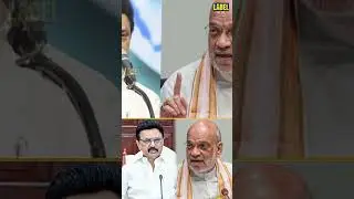 திமுகவை எவனாலும் அழிக்க முடியாது- Journalist Mani Interview #dmk #mkstalin #kalaignar #udhayanidhi