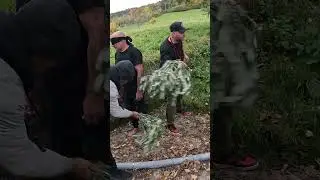 MACUMBA PESADA na EUROPA! Casa de Marab&ocirc; INVADIU! #kimbanda
