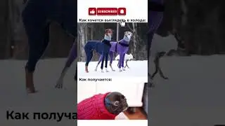 #haha #memes #dontlaught #прикол #funny #automobile #laugh #viral #comedy #shorts #fyp #freefire