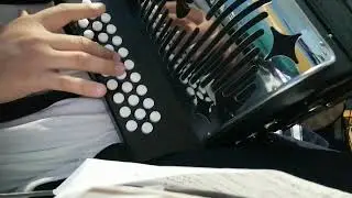 Enamorado en acordeón 